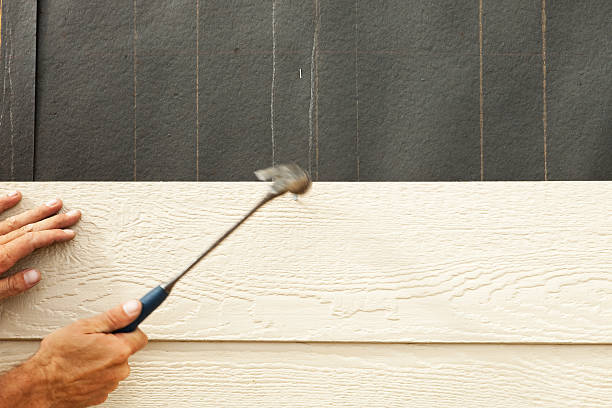 Professional Siding in Munday, TX